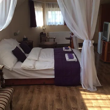 Abszolut Panzio 3*