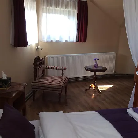 Abszolut Es Panzio 3* Nyirbator