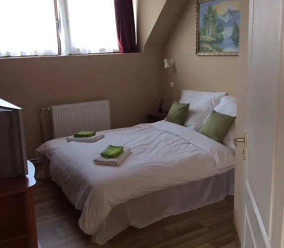 Abszolut Es Panzio מלון Nyírbátor