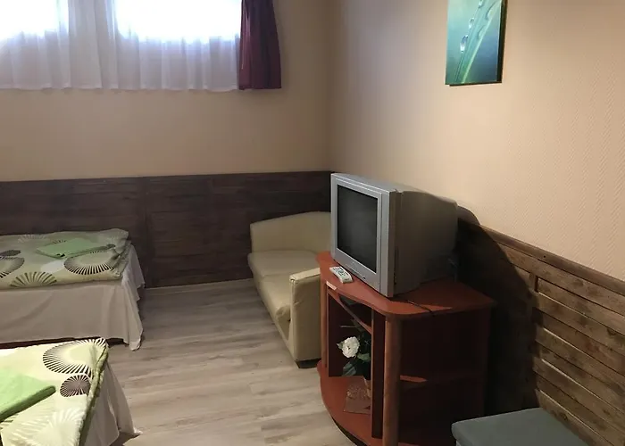 Abszolut Es Panzio 3* Nyírbátor