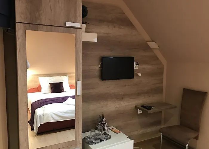 Abszolut Es Panzio מלון Nyírbátor